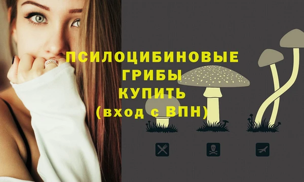 MDMA Premium VHQ Нефтекумск