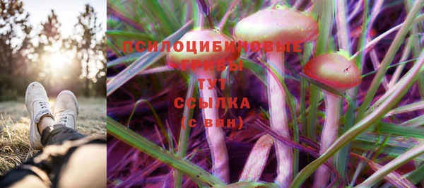 Альфа ПВП Наволоки